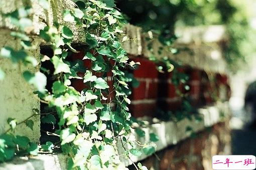 那些瞬间让人红了眼眶的歌词和图片2