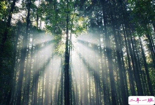 鼓舞我们不断努力的经典励志图片说说 太励志了最经典的说说带图片20182