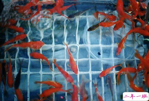 那些瞬间让人红了眼眶的歌词和图片4