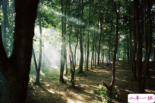 鼓舞我们不断努力的经典励志图片说说 太励志了最经典的说说带图片20186