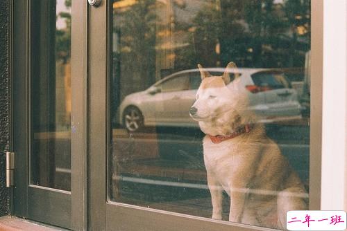 励志说说致自己的短语2018配图  很励志的正能量经典说说8