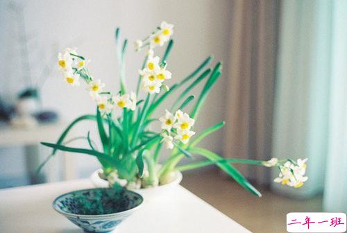 关于人生生活还有成长的有哲理内涵精辟的说说带图片4