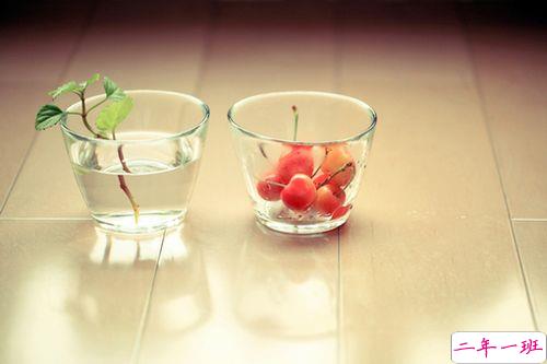 关于人生生活还有成长的有哲理内涵精辟的说说带图片15