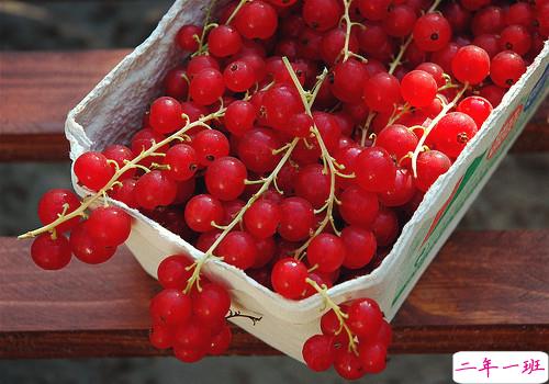 柔软温暖而又浪漫的满满少女心说说带图片6