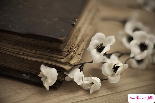 甜蜜浪漫情话只想说给你听的说说带图片 想化作一阵风轻柔的抚过你8