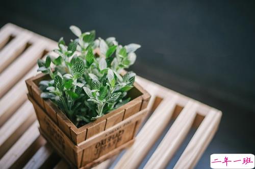 甜蜜浪漫情话只想说给你听的说说带图片 想化作一阵风轻柔的抚过你10