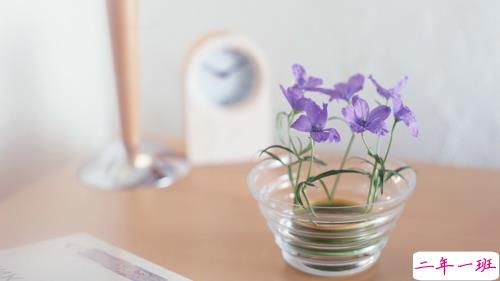 甜蜜浪漫情话只想说给你听的说说带图片 想化作一阵风轻柔的抚过你14