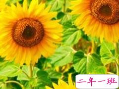 七月早安正能量励志哲理说说带图 早安！七月！