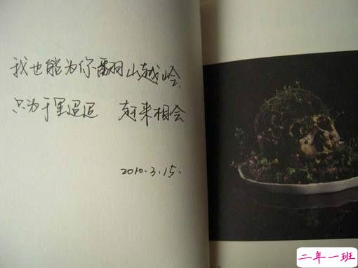 清新简单又有哲理的唯美英文句子带图片7