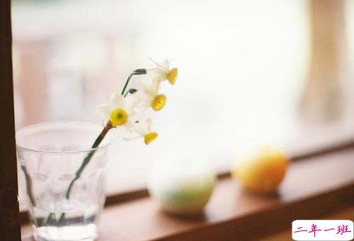 温暖的小清新文艺句子带图片 想把自己的全世界都给你1