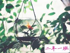 关于人生的超励志正能量图片说说 你优秀了自然有对的人与你并肩