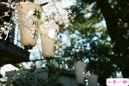 温暖的小清新文艺句子带图片 想把自己的全世界都给你9