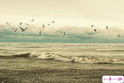 关于生活的经典心灵鸡汤英文说说带图片 Life lifts you over the bar.3