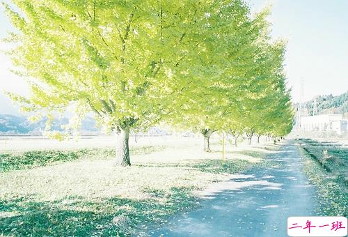 关于生活的经典心灵鸡汤英文说说带图片 Life lifts you over the bar.11