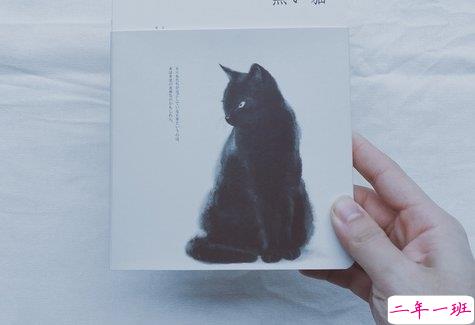 关于人生和成长还有青春的有道理的温暖句子7