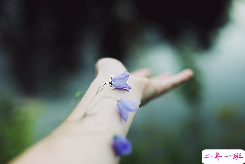 很励志的正能量说说带图片 我有孤勇一腔起于星光止于他乡10