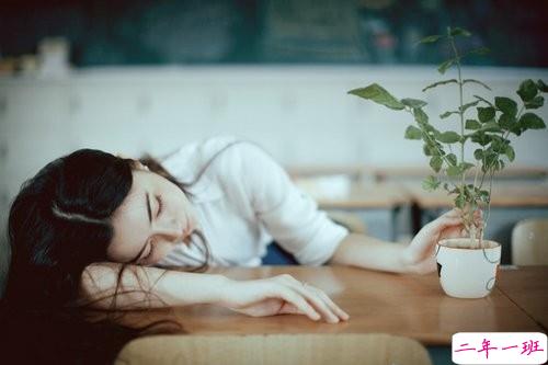 关于人生和成长还有青春的有道理的温暖句子12