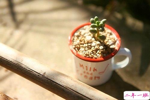 超励志的感悟人生的说说和图片 幸福没有明天只有现在3