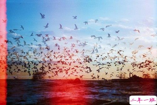 让人瞬间红了眼眶的歌词伤感难过图片说说 人生若如初见7