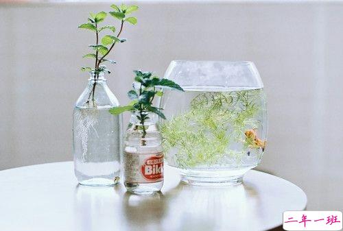 带图片的励志说说人生感悟 别辜负了你的野心也别对不起你受的苦12