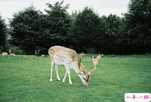 带图片的励志说说人生感悟 别辜负了你的野心也别对不起你受的苦14