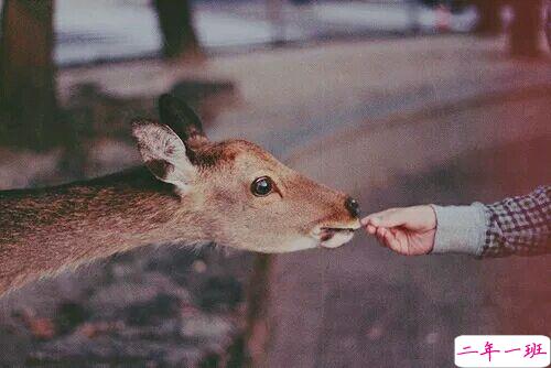 带图片的励志说说人生感悟 别辜负了你的野心也别对不起你受的苦16