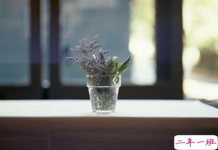 经典有道理的说说带图片：我读过很多书，但后来大部分都被我忘记了6