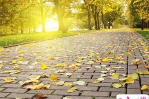 空间经典说说带图片，QQ空间经典说说图片