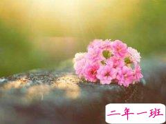 带图片的经典说说:我们都曾不堪一击,但时间让我们刀枪不入