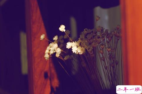 致自己的加油说说：勇于开始，才能找到成功的路。2