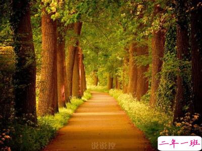 最有道理的说说带图片，有道理的文字说说带图片5