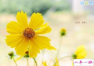 励志的说说带图片，励志的句子图片5