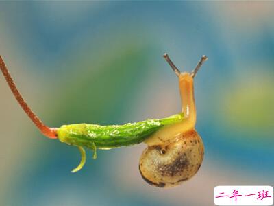 最有道理的说说带图片，有道理的文字说说带图片7