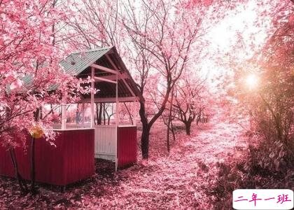 微信说说带图片7