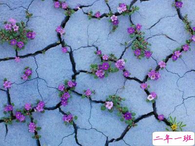 青春励志说说带图片6