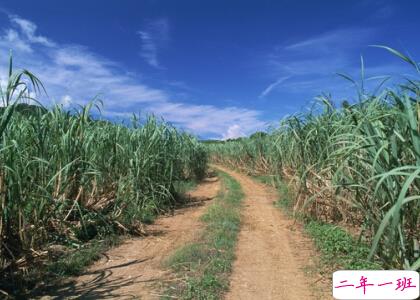 励志说说大全带图片7