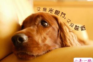 光棍节说说带图片,光棍节图片说说大全