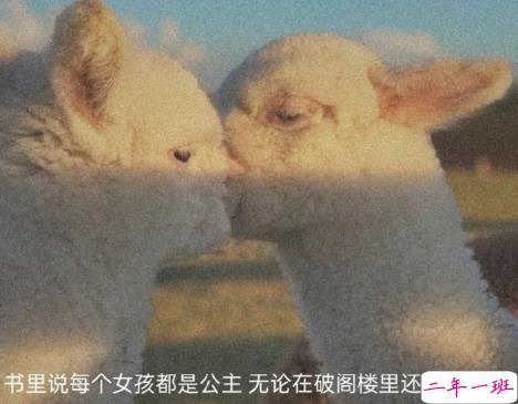 表达自己心情低落的句子带图片 厌倦了循环往复的生活9