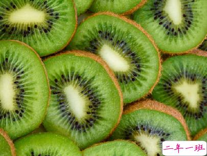 夏日神仙短句带图片 盛夏微信句子大全10