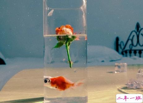 很隐晦低调的宣布分手的文案 很文艺优雅的宣布分手说说5