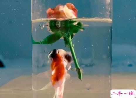 很隐晦低调的宣布分手的文案 很文艺优雅的宣布分手说说7