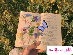 2021有点丧的发朋友圈小句子 适合深夜发的小句子