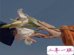 很隐晦低调的宣布分手的文案 很文艺优雅的宣布分手说说