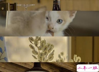 那些能够触动到你的热评 一晃两三年匆匆又秋天2