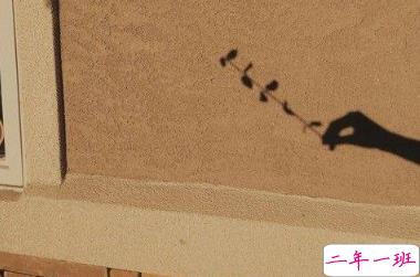 心情低落时可以看的句子  不要去反复思考同一个问题3