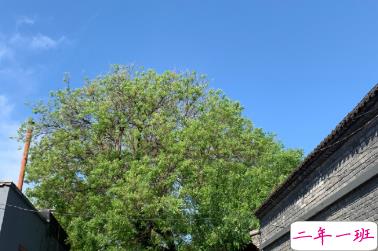 心情低落时可以看的句子  不要去反复思考同一个问题5