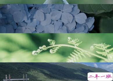 那些能够触动到你的热评 一晃两三年匆匆又秋天9