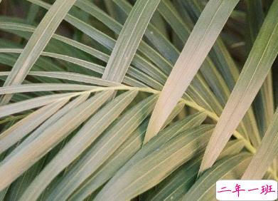 2020年只剩100天朋友圈语录 心情感言伤感说说1