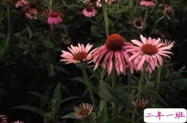 心情低落时可以看的句子  不要去反复思考同一个问题11