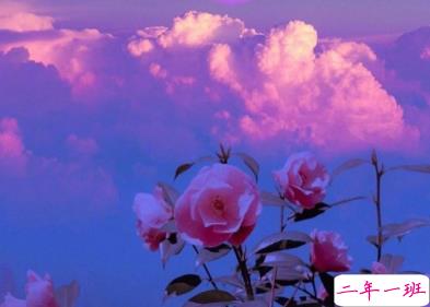 那些能够触动到你的热评 一晃两三年匆匆又秋天11